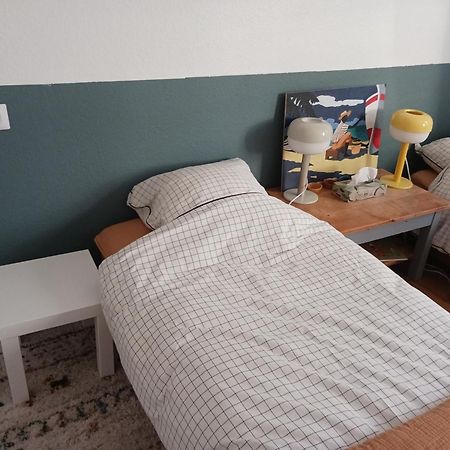 Happy Family Appartement ستراسبورغ المظهر الخارجي الصورة